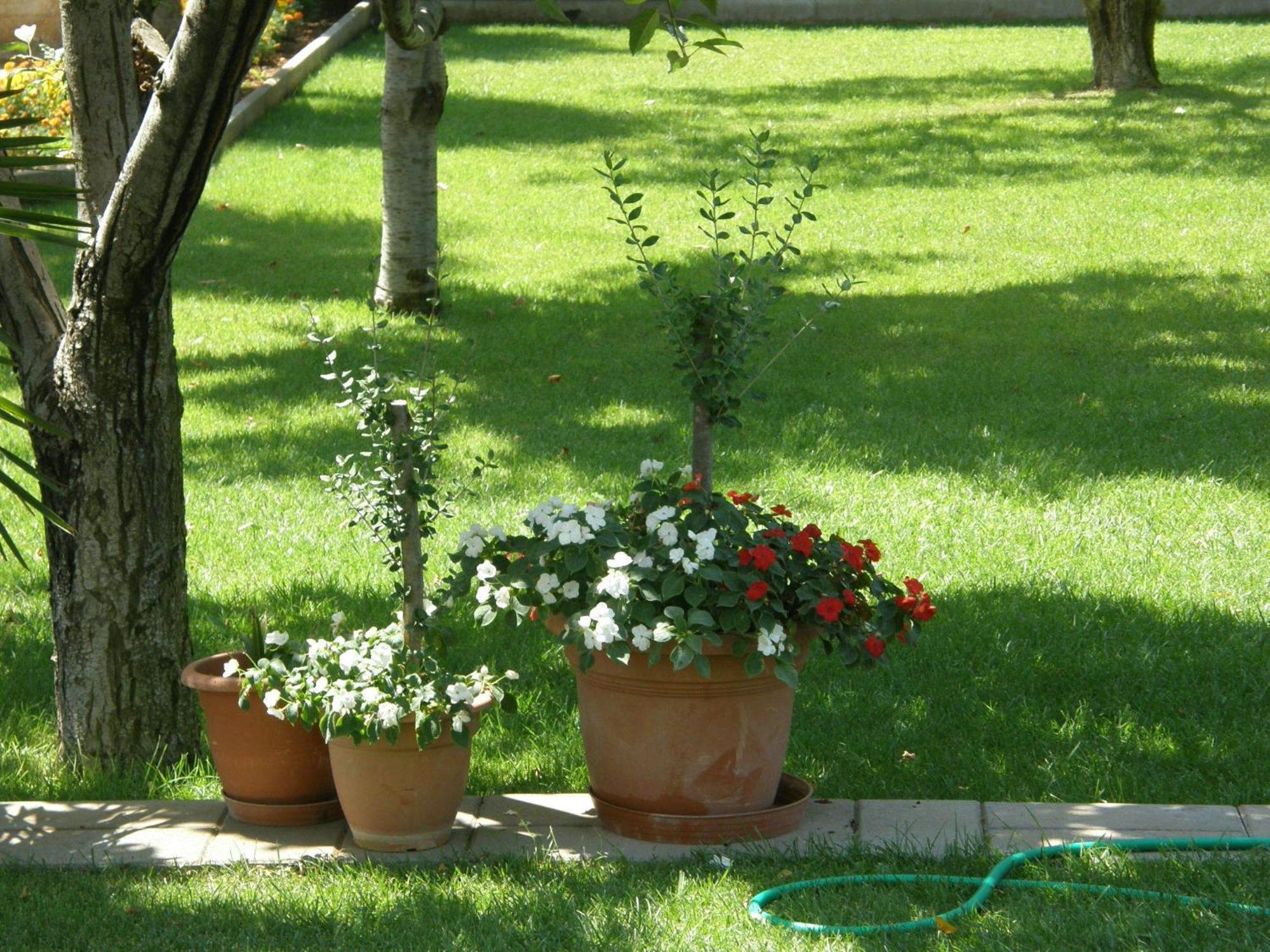 Villa Slavica 1 沃迪切 外观 照片